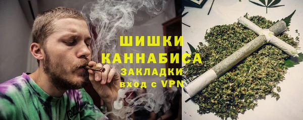 тгк Няндома