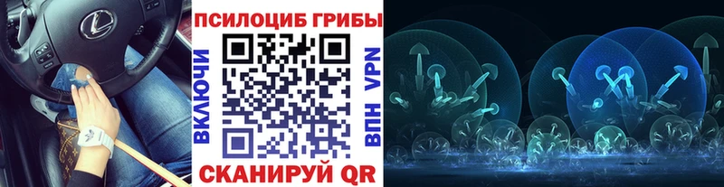 Псилоцибиновые грибы Psilocybe Суоярви